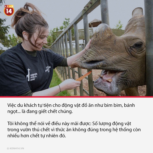 18 sự thật hắc ám đằng sau cánh cửa sở thú sẽ gột sạch sự hồn nhiên trong bạn - Ảnh 6. 18 sự thật hắc ám đằng sau cánh cửa sở thú sẽ gột sạch sự hồn nhiên trong bạn - Ảnh 6.