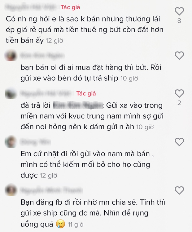 Một loại quả ở miền Bắc rụng chín cả gốc, cho không ai thèm lấy nhưng vào đến trong Nam thì có giá đắt xắt ra miếng? - Ảnh 3. Một loại quả ở miền Bắc rụng chín cả gốc, cho không ai thèm lấy nhưng vào đến trong Nam thì có giá đắt xắt ra miếng? - Ảnh 3.