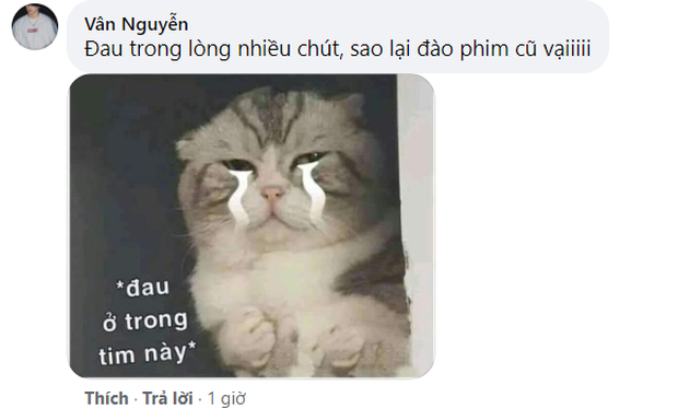 Cung Tuấn vừa hôn vừa bế bạn diễn gọn lỏn, fan nóng người sẵn phong luôn ông hoàng khóa môi thế hệ mới! - Ảnh 6. Cung Tuấn vừa hôn vừa bế bạn diễn gọn lỏn, fan nóng người sẵn phong luôn ông hoàng khóa môi thế hệ mới! - Ảnh 6.