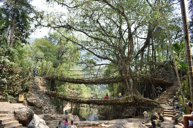 16 thứ độc nhất vô nhị bạn chỉ có thể bắt gặp tại đất nước tỷ dân Ấn Độ: Từ bức tượng cao nhất thế giới đến Đồi Nam châm hút xe lên dốc - Ảnh 10. 16 thứ độc nhất vô nhị bạn chỉ có thể bắt gặp tại đất nước tỷ dân Ấn Độ: Từ bức tượng cao nhất thế giới đến Đồi Nam châm hút xe lên dốc - Ảnh 10.