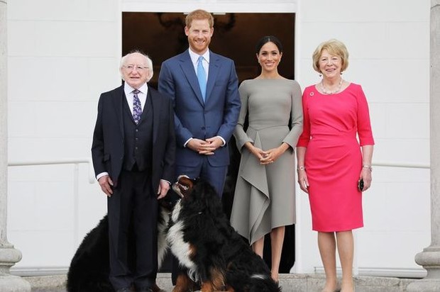 Chó cưng của Tổng thống Ireland càn quét MXH vì màn phá rối chủ nhân đáng yêu chịu không nổi ngay trên sóng trực tiếp quan trọng - Ảnh 5. Chó cưng của Tổng thống Ireland càn quét MXH vì màn phá rối chủ nhân đáng yêu chịu không nổi ngay trên sóng trực tiếp quan trọng - Ảnh 5.