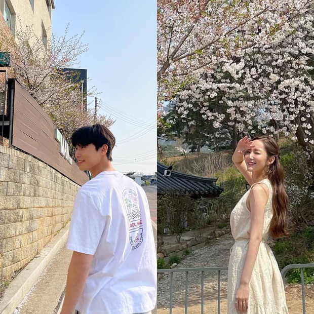 Netizen soi hành động của Park Seo Joon trong họp báo: Tình tứ với Park Min Young, nhưng giữ kẽ với nữ chính Itaewon Class? - Ảnh 11.