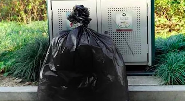 27 mảnh thi thể đều nhau được tìm thấy trong công viên Nhật Bản hơn 2 thập kỷ trước, mở ra vụ án bí ẩn với cách thức giết người ghê rợn - Ảnh 2.