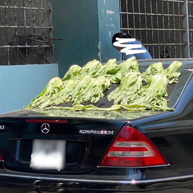 Đỉnh cao của sự xa xỉ: Định phơi dưa muối mà hết chỗ, cô hàng xóm “mượn” luôn con xe Mẹc đang đỗ dưới sân làm giá phơi - Ảnh 1. Đỉnh cao của sự xa xỉ: Định phơi dưa muối mà hết chỗ, cô hàng xóm “mượn” luôn con xe Mẹc đang đỗ dưới sân làm giá phơi - Ảnh 1.