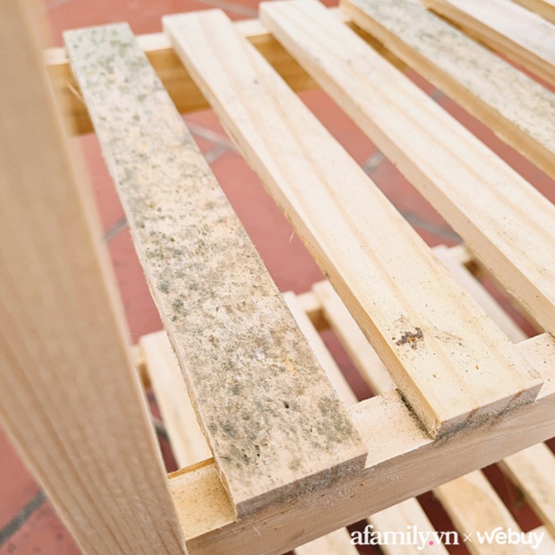 Đừng dại mà mua: 3 món decor nhìn rõ xinh nhưng mua về chỉ muốn “tống tiễn”, lần sau xin chừa! - Ảnh 9. Đừng dại mà mua: 3 món decor nhìn rõ xinh nhưng mua về chỉ muốn “tống tiễn”, lần sau xin chừa! - Ảnh 9.