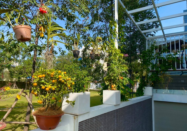 NSƯT Trịnh Kim Chi khoe biệt thự rộng 200m2 giá 10 tỷ, vị trí đắc địa gần 1 trường Đại học chỉ dành cho con nhà giàu - Ảnh 7.