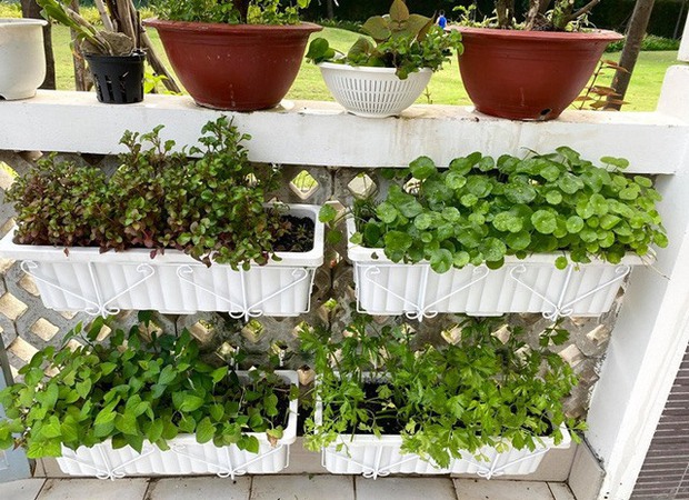 NSƯT Trịnh Kim Chi khoe biệt thự rộng 200m2 giá 10 tỷ, vị trí đắc địa gần 1 trường Đại học chỉ dành cho con nhà giàu - Ảnh 9.