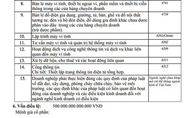 Người đàn ông 35 tuổi ở TP.HCM đăng ký góp hơn 500.000 tỉ đồng vào nhiều công ty - Ảnh 1.