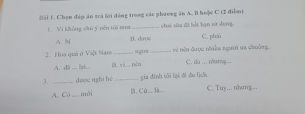 Bài thi năng lực tiếng Việt ở Nhật đọc mà sang chấn vì toàn ngữ pháp khó, đến người Việt cũng xin bó tay - Ảnh 1. Bài thi năng lực tiếng Việt ở Nhật đọc mà sang chấn vì toàn ngữ pháp khó, đến người Việt cũng xin bó tay - Ảnh 1.