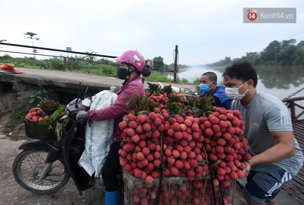 Bắc Giang: Kiếm tiền triệu từ việc đẩy xe chở vải lên dốc cầu phao trong mùa thu hoạch - Ảnh 5. Bắc Giang: Kiếm tiền triệu từ việc đẩy xe chở vải lên dốc cầu phao trong mùa thu hoạch - Ảnh 5.