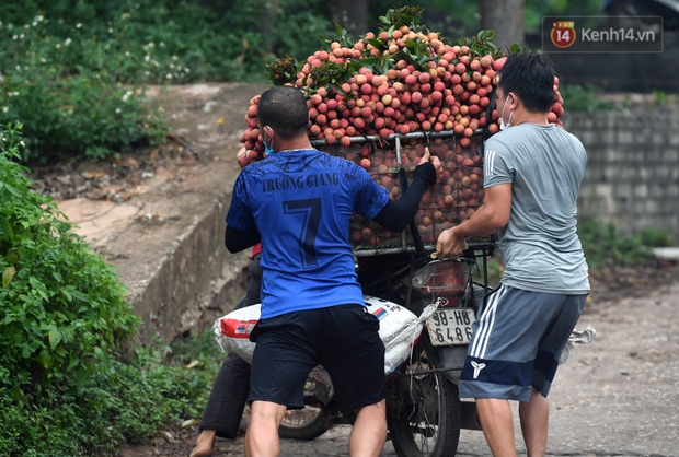Bắc Giang: Kiếm tiền triệu từ việc đẩy xe chở vải lên dốc cầu phao trong mùa thu hoạch - Ảnh 10. Bắc Giang: Kiếm tiền triệu từ việc đẩy xe chở vải lên dốc cầu phao trong mùa thu hoạch - Ảnh 10.