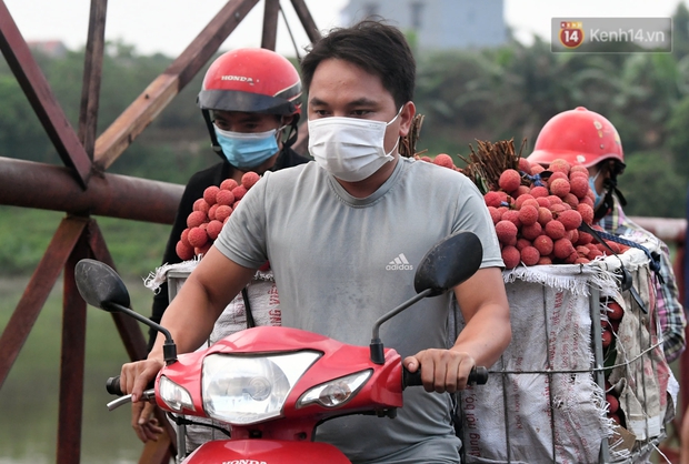 Bắc Giang: Kiếm tiền triệu từ việc đẩy xe chở vải lên dốc cầu phao trong mùa thu hoạch - Ảnh 11. Bắc Giang: Kiếm tiền triệu từ việc đẩy xe chở vải lên dốc cầu phao trong mùa thu hoạch - Ảnh 11.