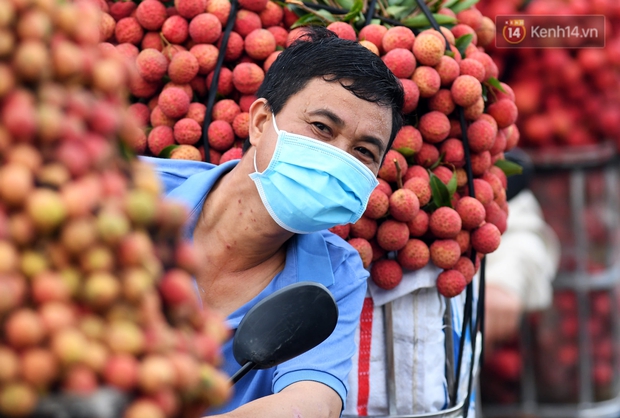 Bắc Giang: Kiếm tiền triệu từ việc đẩy xe chở vải lên dốc cầu phao trong mùa thu hoạch - Ảnh 15. Bắc Giang: Kiếm tiền triệu từ việc đẩy xe chở vải lên dốc cầu phao trong mùa thu hoạch - Ảnh 15.