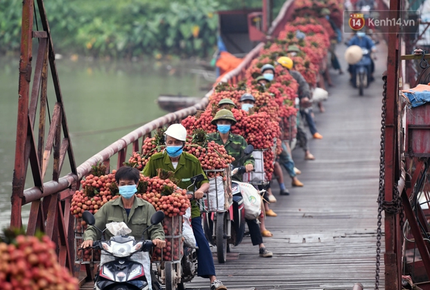 Bắc Giang: Kiếm tiền triệu từ việc đẩy xe chở vải lên dốc cầu phao trong mùa thu hoạch - Ảnh 13. Bắc Giang: Kiếm tiền triệu từ việc đẩy xe chở vải lên dốc cầu phao trong mùa thu hoạch - Ảnh 13.