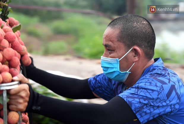 Bắc Giang: Kiếm tiền triệu từ việc đẩy xe chở vải lên dốc cầu phao trong mùa thu hoạch - Ảnh 6. Bắc Giang: Kiếm tiền triệu từ việc đẩy xe chở vải lên dốc cầu phao trong mùa thu hoạch - Ảnh 6.