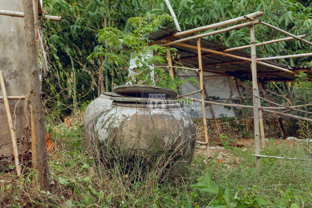 Trực tiếp đến Tiền Giang: Đau lòng khi thấy nhà Hồ Văn Cường bị bỏ hoang, hàng xóm kể lâu rồi không thấy bố mẹ ruột và Phi Nhung về thăm - Ảnh 14. Trực tiếp đến Tiền Giang: Đau lòng khi thấy nhà Hồ Văn Cường bị bỏ hoang, hàng xóm kể lâu rồi không thấy bố mẹ ruột và Phi Nhung về thăm - Ảnh 14.