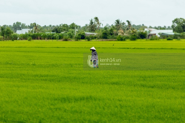 Trực tiếp đến Tiền Giang: Đau lòng khi thấy nhà Hồ Văn Cường bị bỏ hoang, hàng xóm kể lâu rồi không thấy bố mẹ ruột và Phi Nhung về thăm - Ảnh 22. Trực tiếp đến Tiền Giang: Đau lòng khi thấy nhà Hồ Văn Cường bị bỏ hoang, hàng xóm kể lâu rồi không thấy bố mẹ ruột và Phi Nhung về thăm - Ảnh 22.
