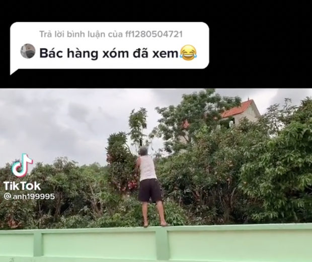 Cô gái khoe cây vải phản chủ mọc lấn hàng rào nhà mình, ngay lập tức hàng xóm có động thái dằn mặt hết đường ăn free! - Ảnh 3.