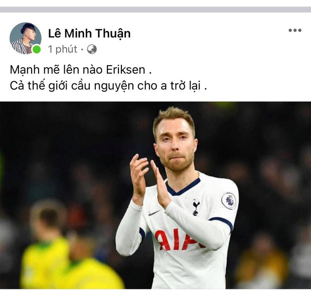 Diệu Nhi bật khóc, Trịnh Thăng Bình và dàn sao Việt cầu nguyện cho cầu thủ Erikse tuyển Đan Mạch đột quỵ trên sân đấu Euro - Ảnh 8.