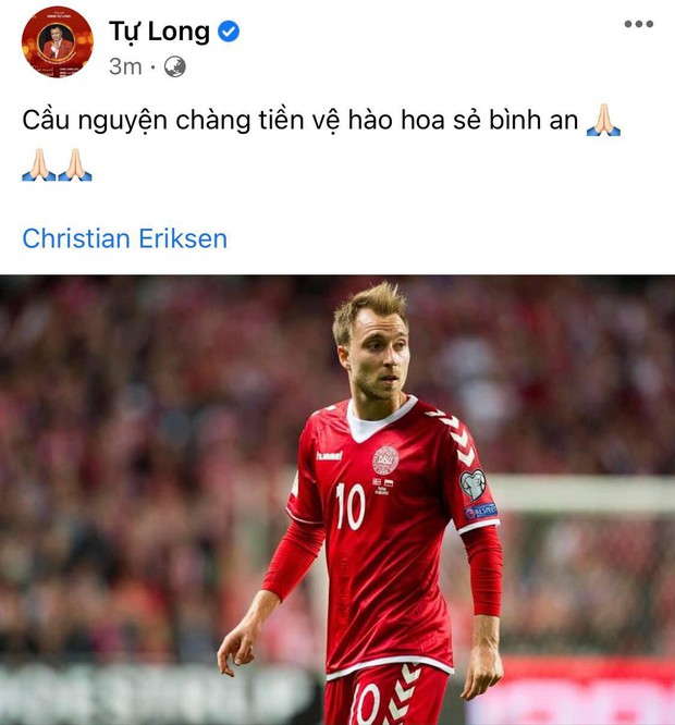 Diệu Nhi bật khóc, Trịnh Thăng Bình và dàn sao Việt cầu nguyện cho cầu thủ Erikse tuyển Đan Mạch đột quỵ trên sân đấu Euro - Ảnh 13.