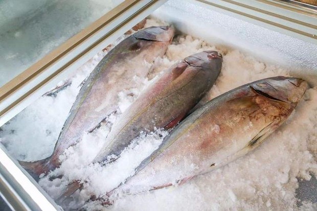 3 loại cá là bể chứa chất gây ung thư và kim loại nặng tuyệt đối đừng nên mua, nhưng nhiều người không biết vẫn ăn hàng ngày - Ảnh 2.