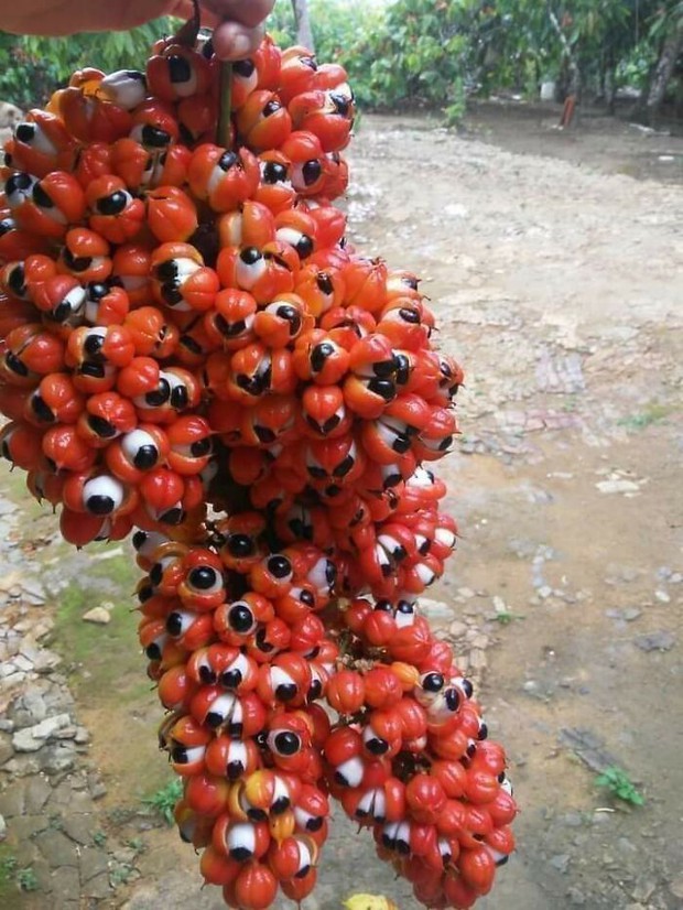23 bức ảnh có visual không hề thoải mái, xem từ đầu tới cuối chỉ thấy rờn rợn trong lòng - Ảnh 5. 23 bức ảnh có visual không hề thoải mái, xem từ đầu tới cuối chỉ thấy rờn rợn trong lòng - Ảnh 5.