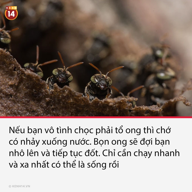 12 mẹo nhỏ mà có võ có thể giúp bạn thoát khỏi nguy hiểm trong gang tấc nhưng rất ít người biết - Ảnh 5.