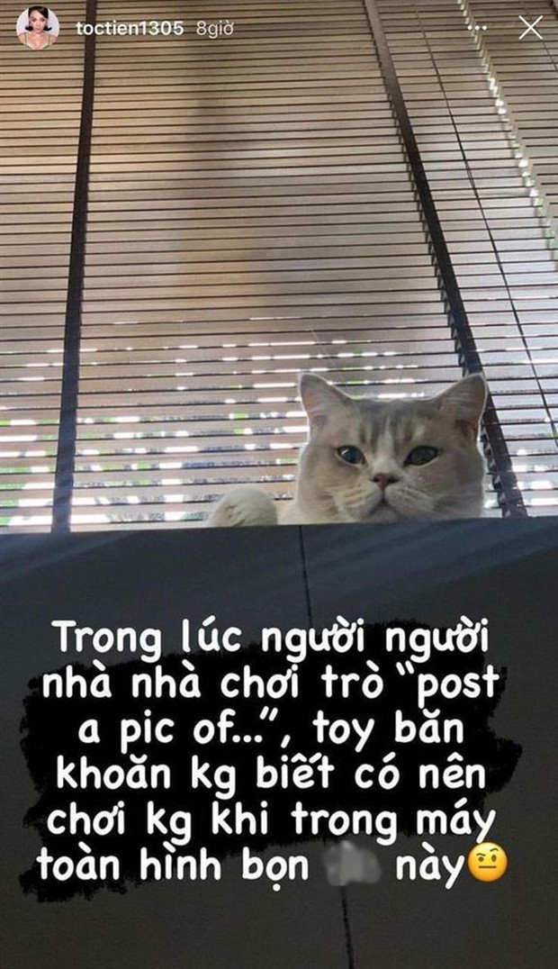 Tóc Tiên bất ngờ gây tranh cãi vì nghi vấn phát ngôn chửi tục công khai trên MXH, có đáng bị chỉ trích nếu phân tích rõ? - Ảnh 3.