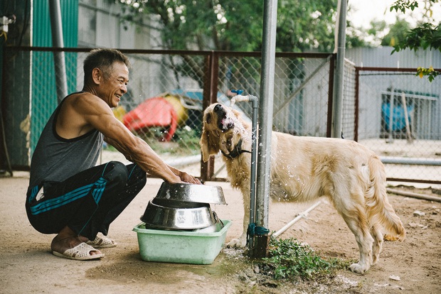 Hành trình của một chú chó hoang từng bị đánh, bắt đến bến đỗ trong ngôi nhà hạnh phúc cho chó mèo ở Hà Nội - Ảnh 36. Hành trình của một chú chó hoang từng bị đánh, bắt đến bến đỗ trong ngôi nhà hạnh phúc cho chó mèo ở Hà Nội - Ảnh 36.