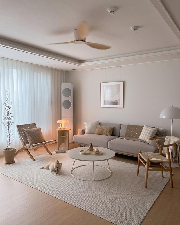 Tuổi nghỉ hưu của 7 đồ vật quen thuộc trong nhà, chớ có tham dùng thêm kẻo bệnh tật ùn ùn kéo đến - Ảnh 12.
