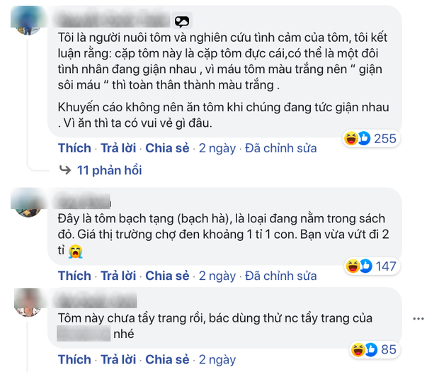 Đăng ảnh hỏi tôm luộc màu trắng ăn có bị gì không, chàng trai nhận được 7749 câu trả lời nghe muốn sang chấn tâm lý từ dân mạng - Ảnh 2. Đăng ảnh hỏi tôm luộc màu trắng ăn có bị gì không, chàng trai nhận được 7749 câu trả lời nghe muốn sang chấn tâm lý từ dân mạng - Ảnh 2.