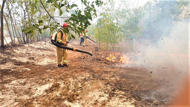 Rừng phòng hộ ven biển bốc cháy dữ dội, hàng trăm người nỗ lực dập lửa - Ảnh 2. Rừng phòng hộ ven biển bốc cháy dữ dội, hàng trăm người nỗ lực dập lửa - Ảnh 2.