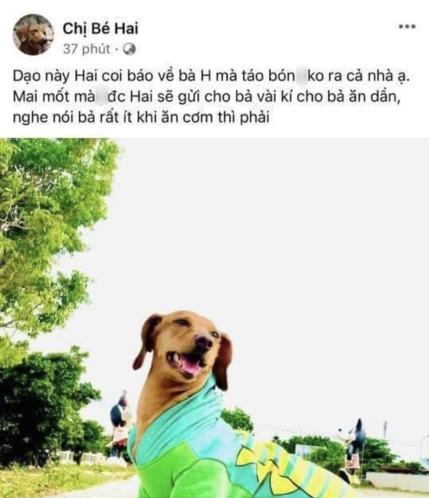 Xuân Nghị gây tranh cãi vì dùng cún cưng để cà khịa Phương Hằng, lại còn ẩn ý gọi khán giả là robot? - Ảnh 2. Xuân Nghị gây tranh cãi vì dùng cún cưng để cà khịa Phương Hằng, lại còn ẩn ý gọi khán giả là robot? - Ảnh 2.