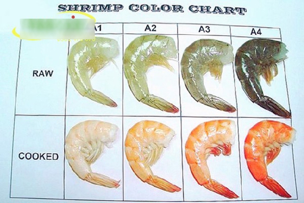 Đăng ảnh hỏi tôm luộc màu trắng ăn có bị gì không, chàng trai nhận được 7749 câu trả lời nghe muốn sang chấn tâm lý từ dân mạng - Ảnh 6. Đăng ảnh hỏi tôm luộc màu trắng ăn có bị gì không, chàng trai nhận được 7749 câu trả lời nghe muốn sang chấn tâm lý từ dân mạng - Ảnh 6.
