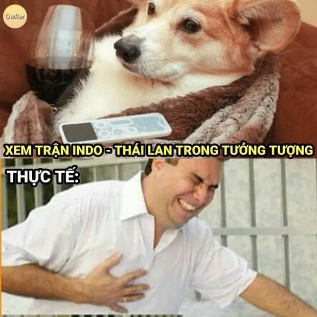 Fan Việt Nam chế loạt ảnh cà khịa Thái Lan sau trận đấu với Indonesia - Ảnh 2. Fan Việt Nam chế loạt ảnh cà khịa Thái Lan sau trận đấu với Indonesia - Ảnh 2.