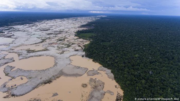 Kỷ lục 1.180km² rừng Amazon tại Brazil bị phá hủy trong tháng 5 - Ảnh 3. Kỷ lục 1.180km² rừng Amazon tại Brazil bị phá hủy trong tháng 5 - Ảnh 3.