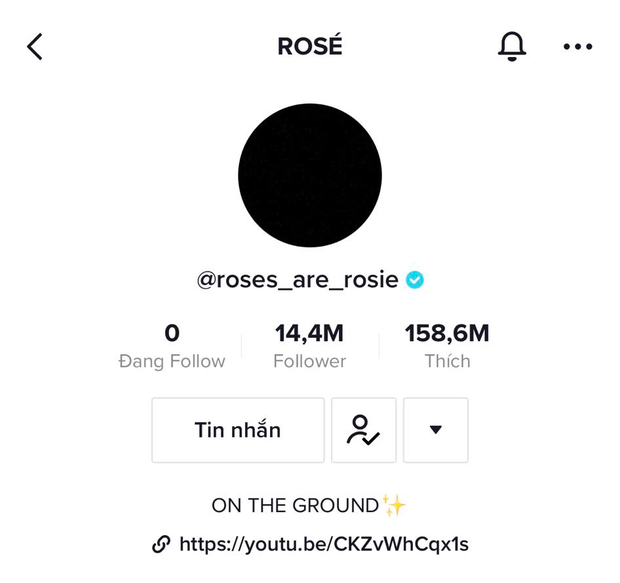 Top 5 nghệ sĩ, nhóm nhạc K-pop có lượng followers khủng nhất trên TikTok, Rosé (BLACKPINK) chỉ đứng thứ 4 vậy top 3 là ai? - Ảnh 5.