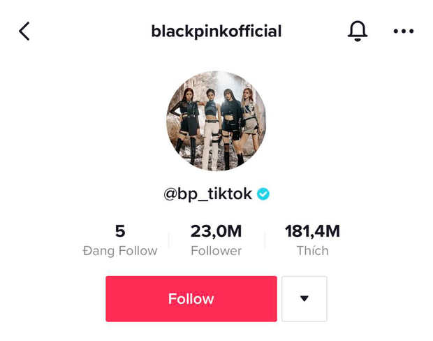 Top 5 nghệ sĩ, nhóm nhạc K-pop có lượng followers khủng nhất trên TikTok, Rosé (BLACKPINK) chỉ đứng thứ 4 vậy top 3 là ai? - Ảnh 3.