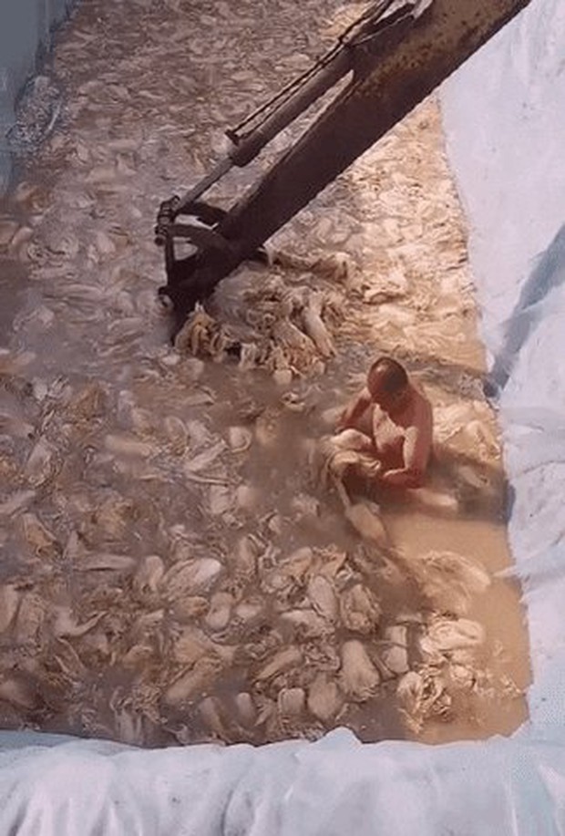 Clip người đàn ông trần truồng lội trong bể kim chi khiến dân Hàn phát khiếp, đòi tẩy chay đồ ăn Trung Quốc - Ảnh 2.