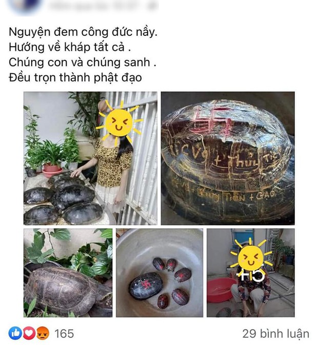 Tên Thuỷ Tiên và Công Vinh được khắc lên mai rùa phóng sinh, cư dân mạng chỉ trích vì hành động gây nguy hiểm tới loài vật này - Ảnh 2. Tên Thuỷ Tiên và Công Vinh được khắc lên mai rùa phóng sinh, cư dân mạng chỉ trích vì hành động gây nguy hiểm tới loài vật này - Ảnh 2.