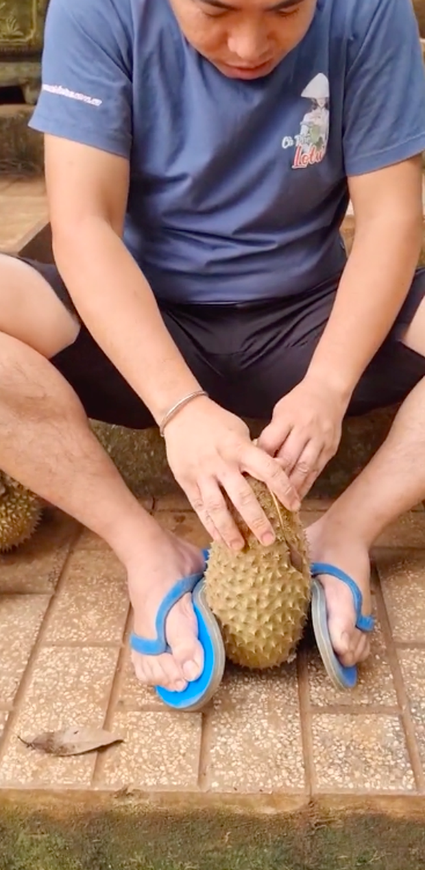 Nhà trồng được giống sầu riêng đột biến “30 năm mới có 1 trái”, anh chàng thử bổ ra và cái kết ngã ngửa - Ảnh 2.