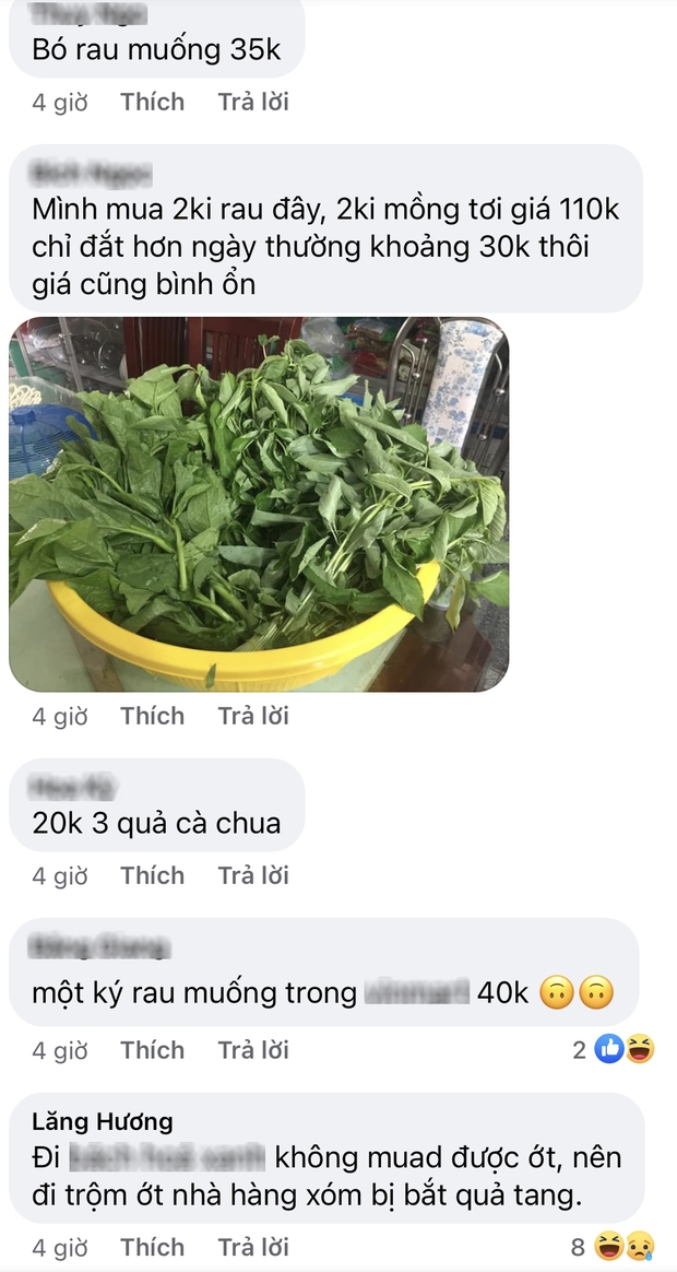 Thật không ngờ rau xanh ở Sài Gòn bây giờ còn có giá hơn vàng, ai bảo rẻ như mớ rau ngoài chợ thì vào đây mà xem! - Ảnh 6. Thật không ngờ rau xanh ở Sài Gòn bây giờ còn có giá hơn vàng, ai bảo rẻ như mớ rau ngoài chợ thì vào đây mà xem! - Ảnh 6.