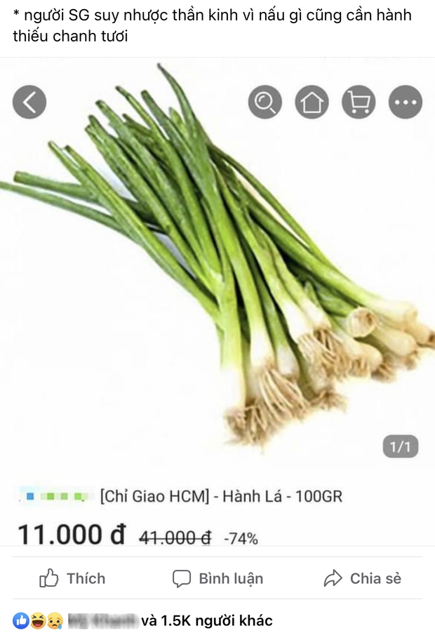 Thật không ngờ rau xanh ở Sài Gòn bây giờ còn có giá hơn vàng, ai bảo rẻ như mớ rau ngoài chợ thì vào đây mà xem! - Ảnh 3. Thật không ngờ rau xanh ở Sài Gòn bây giờ còn có giá hơn vàng, ai bảo rẻ như mớ rau ngoài chợ thì vào đây mà xem! - Ảnh 3.