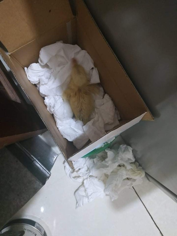 Mua trứng về nhà dự trữ trong mùa dịch, lúc mở tủ lạnh ra kiểm tra thì thanh niên mới tá hoả vì cảnh tượng kinh hoàng trước mặt - Ảnh 3. Mua trứng về nhà dự trữ trong mùa dịch, lúc mở tủ lạnh ra kiểm tra thì thanh niên mới tá hoả vì cảnh tượng kinh hoàng trước mặt - Ảnh 3.