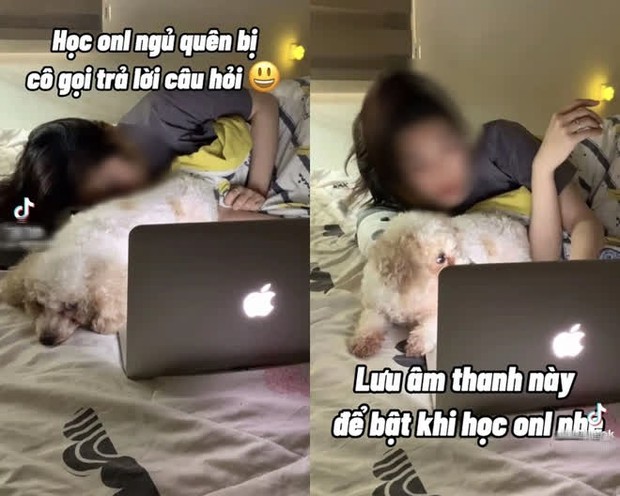 Drama căng đét giới TikTok: Hot girl làm 1 loạt clip hướng dẫn học sinh gian lận, bị lên án, lời đáp trả càng gây phẫn nộ - Ảnh 2.