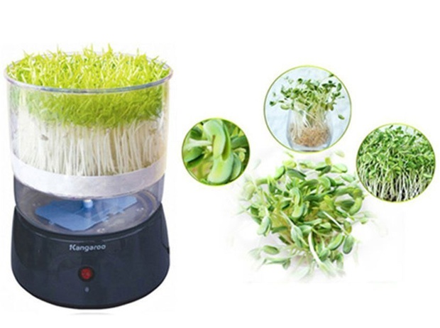 Từng bỏ 600K mua máy làm rau mầm rồi bỏ xó, giờ giãn cách mới thấy phát huy công dụng - Ảnh 9. Từng bỏ 600K mua máy làm rau mầm rồi bỏ xó, giờ giãn cách mới thấy phát huy công dụng - Ảnh 9.