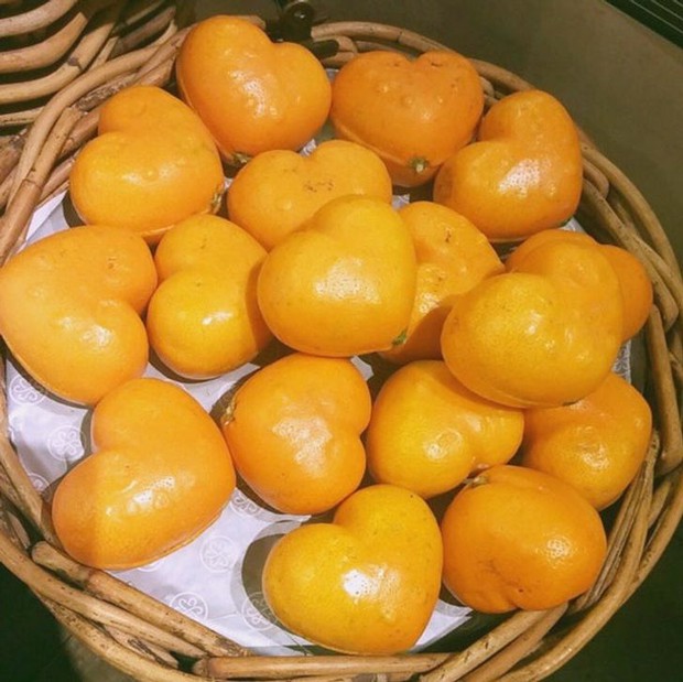 Nếu không đi du lịch Hàn Quốc, tôi sẽ chẳng bao giờ được thấy những thứ lạ đời này: Coi tới đâu là xỉu tới đó! - Ảnh 7. Nếu không đi du lịch Hàn Quốc, tôi sẽ chẳng bao giờ được thấy những thứ lạ đời này: Coi tới đâu là xỉu tới đó! - Ảnh 7.