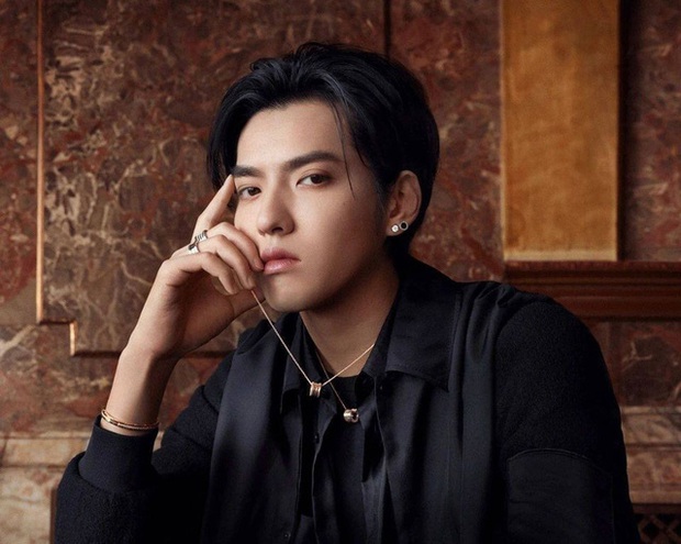 Tiếp tục bị Bvlgari cạch mặt sau khi bị 13 thương hiệu khác nghỉ chơi, Ngô Diệc Phàm giờ chỉ còn 01 phao cứu sinh - Ảnh 1. Tiếp tục bị Bvlgari cạch mặt sau khi bị 13 thương hiệu khác nghỉ chơi, Ngô Diệc Phàm giờ chỉ còn 01 phao cứu sinh - Ảnh 1.