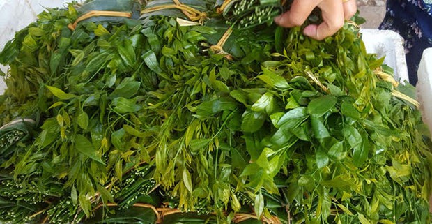 Hà Nội: Rau ngót 200.000 đồng/kg khiến ai cũng sửng sốt - Ảnh 6. Hà Nội: Rau ngót 200.000 đồng/kg khiến ai cũng sửng sốt - Ảnh 6.
