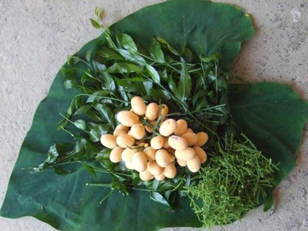 Hà Nội: Rau ngót 200.000 đồng/kg khiến ai cũng sửng sốt - Ảnh 9. Hà Nội: Rau ngót 200.000 đồng/kg khiến ai cũng sửng sốt - Ảnh 9.